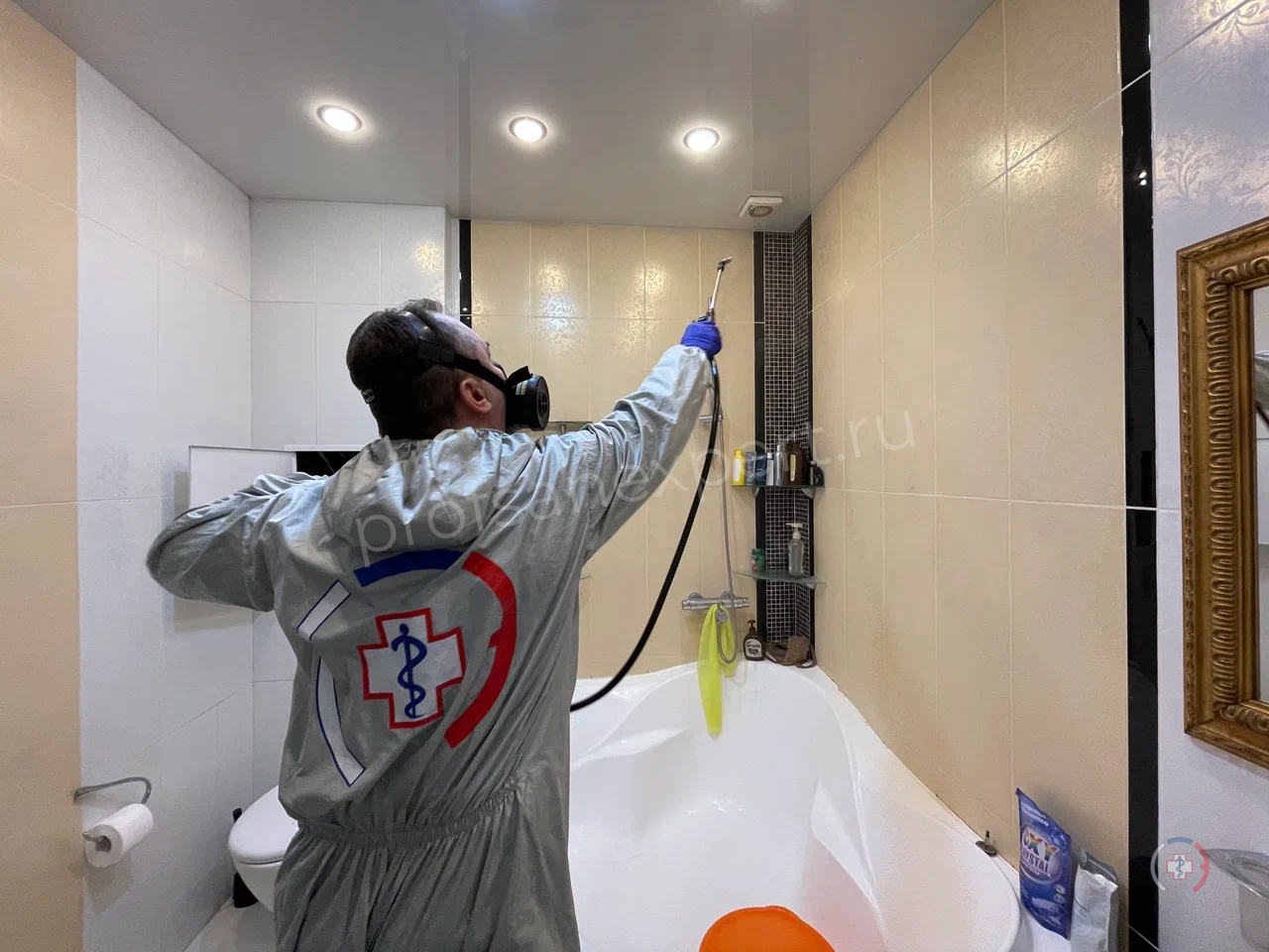 Всё о дезинсекции от тараканов